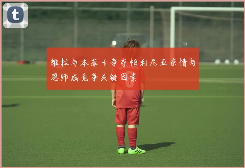 维拉与本菲卡争夺帕利尼亚亲情与恩师成竞争关键因素