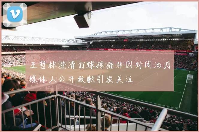 王哲林澄清打球疼痛非因封闭治疗媒体人公开致歉引发关注