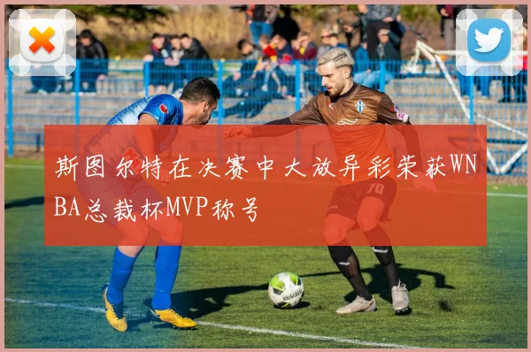 斯图尔特在决赛中大放异彩荣获WNBA总裁杯MVP称号