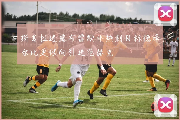 斯基拉透露布雷默非热刺目标德泽尔比更倾向引进范赫克