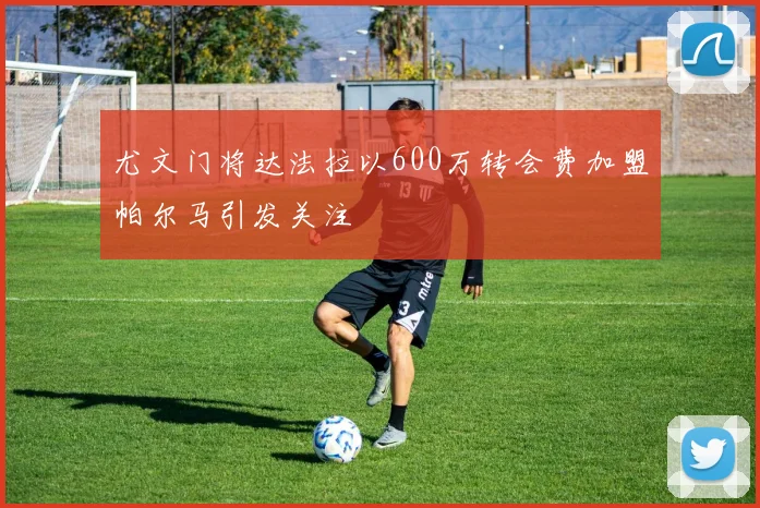 尤文门将达法拉以600万转会费加盟帕尔马引发关注